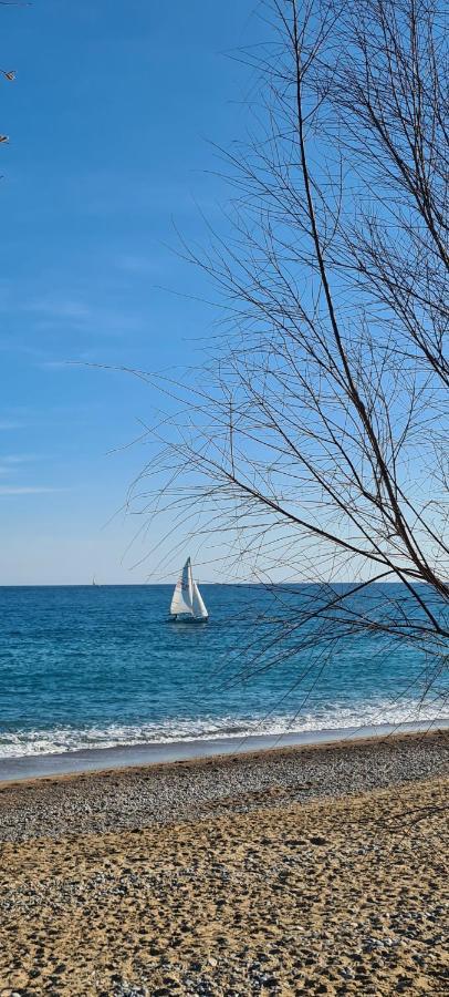 Villa Ange Azur 2 فينوف لوبيه المظهر الخارجي الصورة